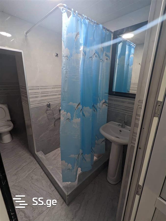 3 Room Private House Daily Rent. Zugdidi view 3