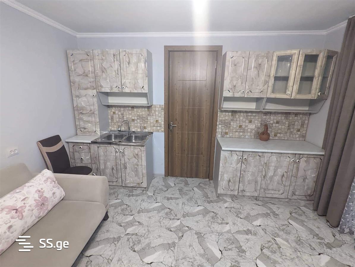 3 Room Private House Daily Rent. Zugdidi view 11