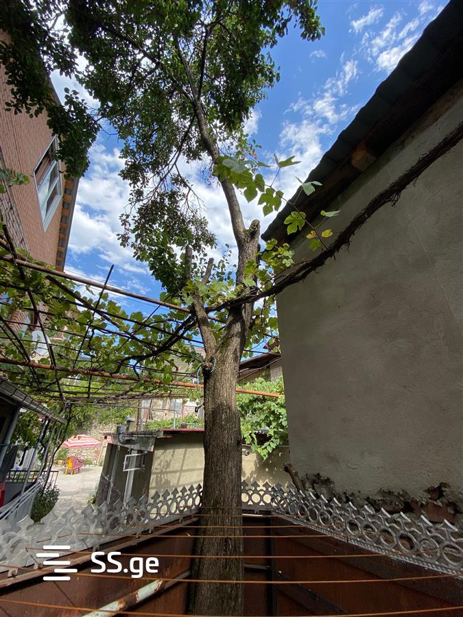 6 Room Private House For Sale view 4