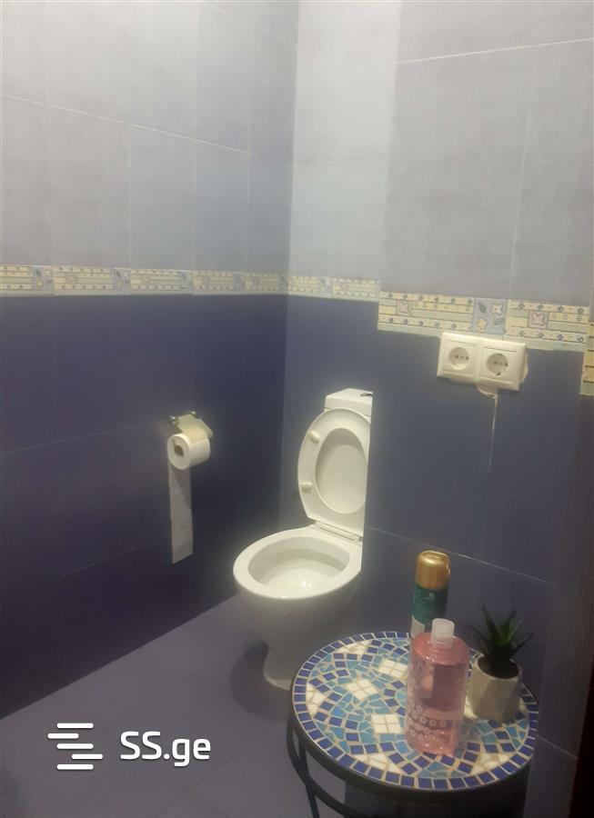 2 Room Flat For Rent. Saburtalo, 8 of 12