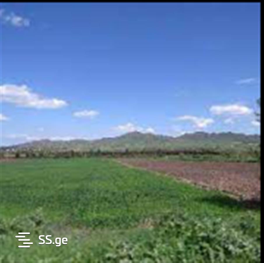 იყიდება მიწა მარნეულიში view 3