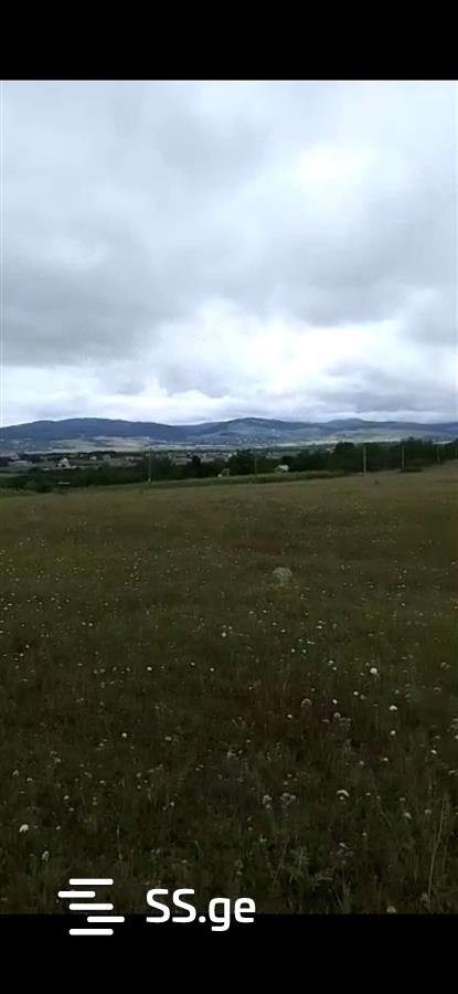Land For Sale. Bazaleti view 1