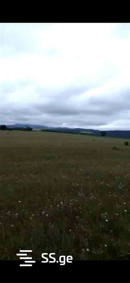 Land For Sale. Bazaleti view 5