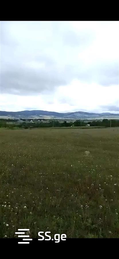 Land For Sale. Bazaleti view 6