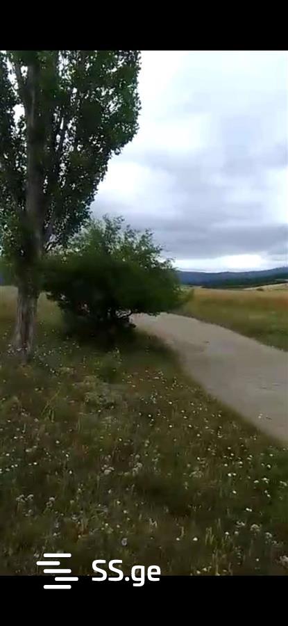 Land For Sale. Bazaleti view 4