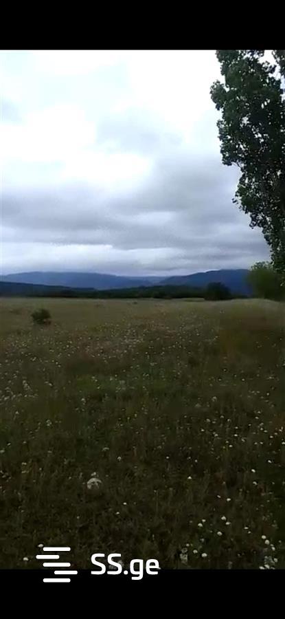 Land For Sale. Bazaleti view 3