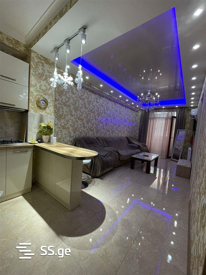 2 Room Flat Daily Rent. Rustavi view 11