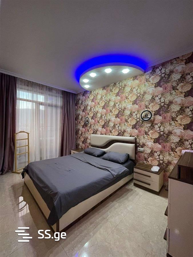 2 Room Flat Daily Rent. Rustavi view 3