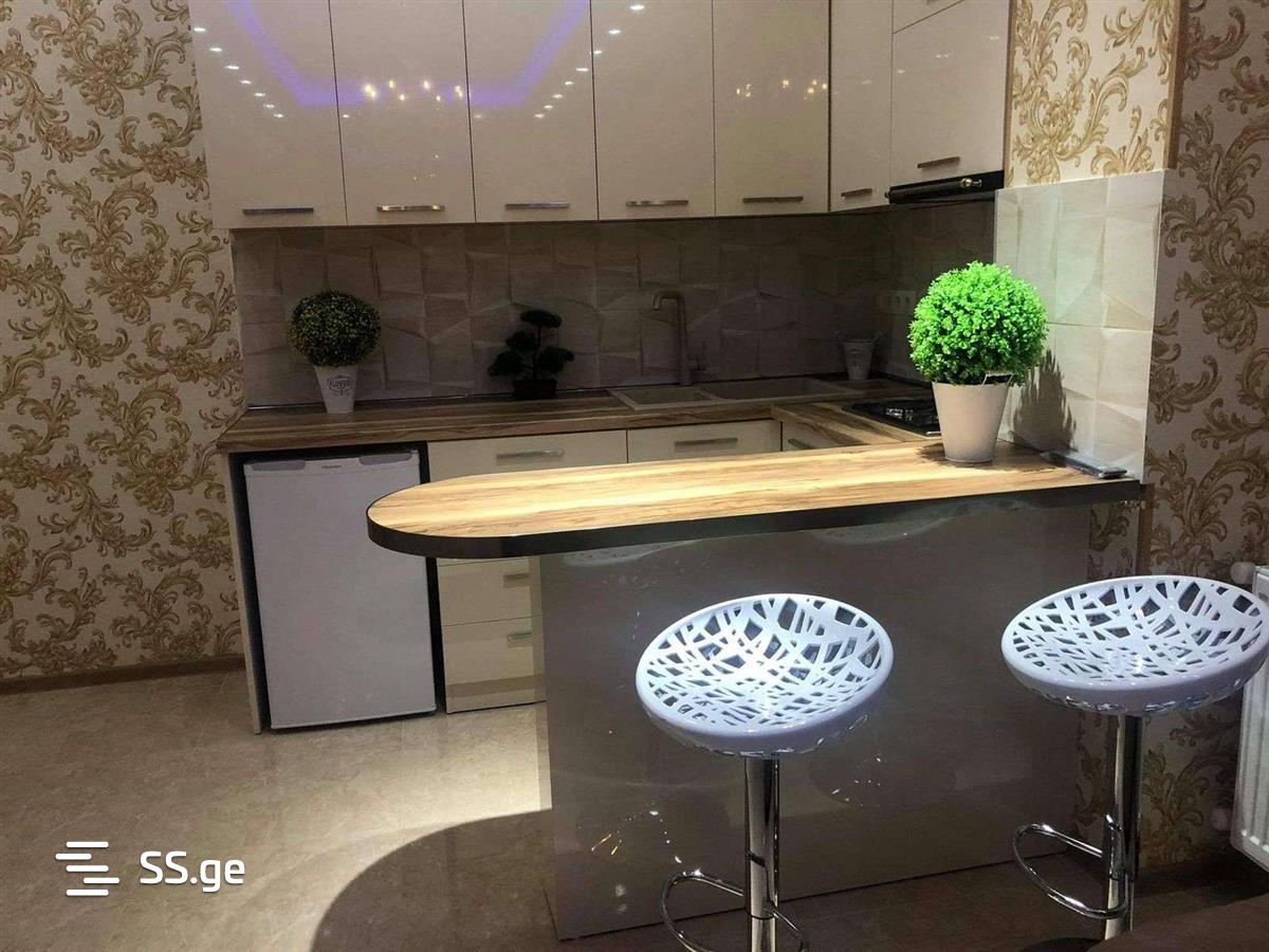 2 Room Flat Daily Rent. Rustavi view 10