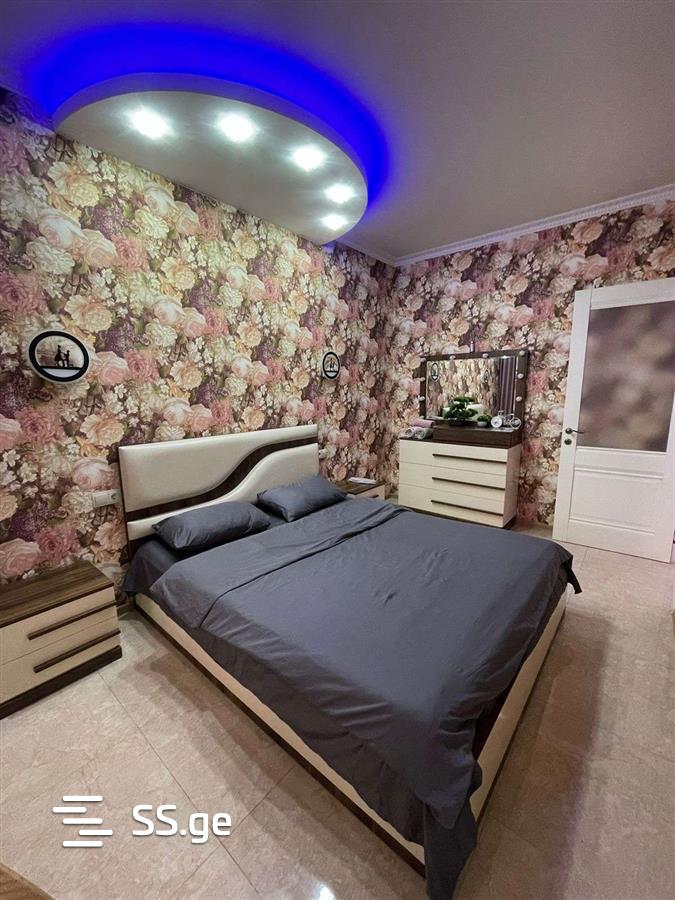 2 Room Flat Daily Rent. Rustavi view 2