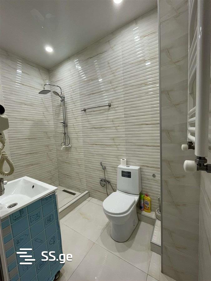 2 Room Flat Daily Rent. Rustavi view 9