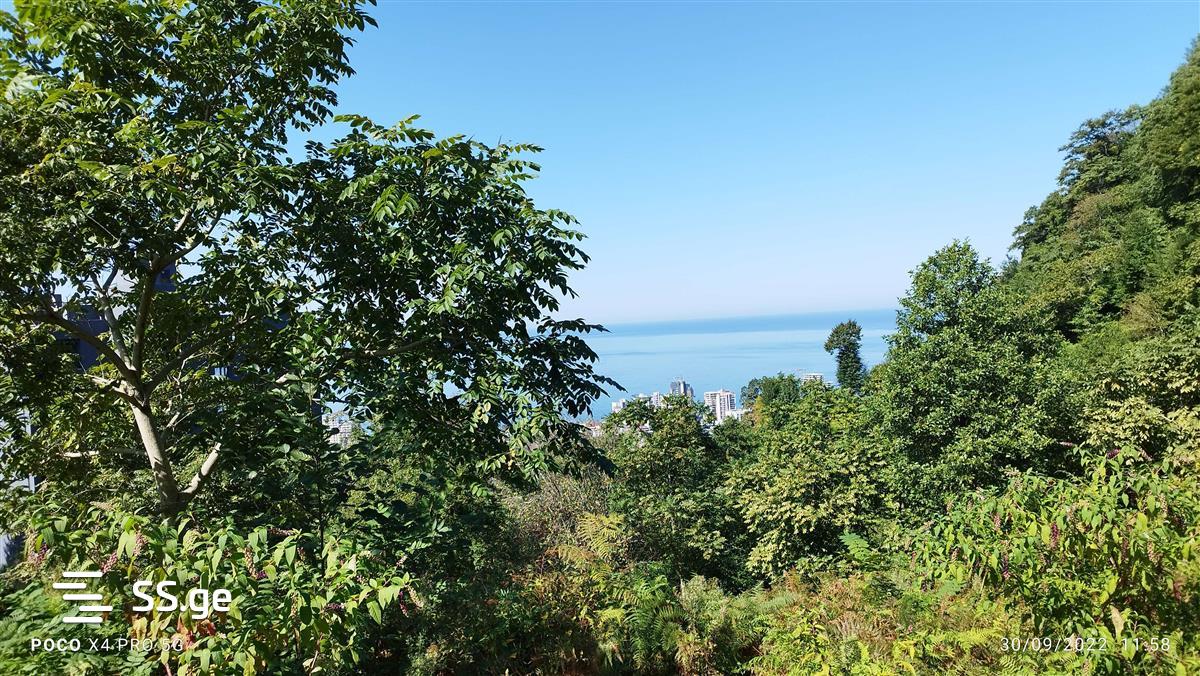 Land For Sale. Gonio view 8