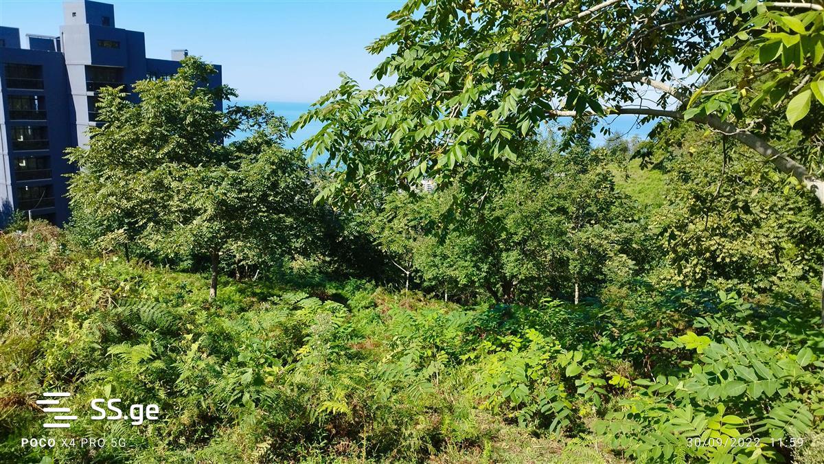 Land For Sale. Gonio view 10