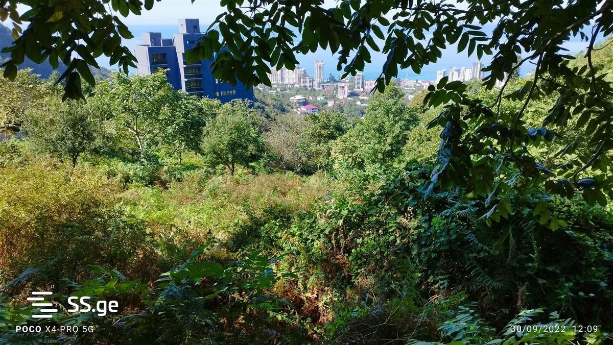 Land For Sale. Gonio view 7
