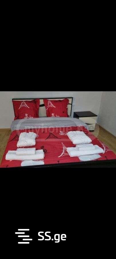 8 Room Summer Cottage Daily Rent. Tskneti view 2