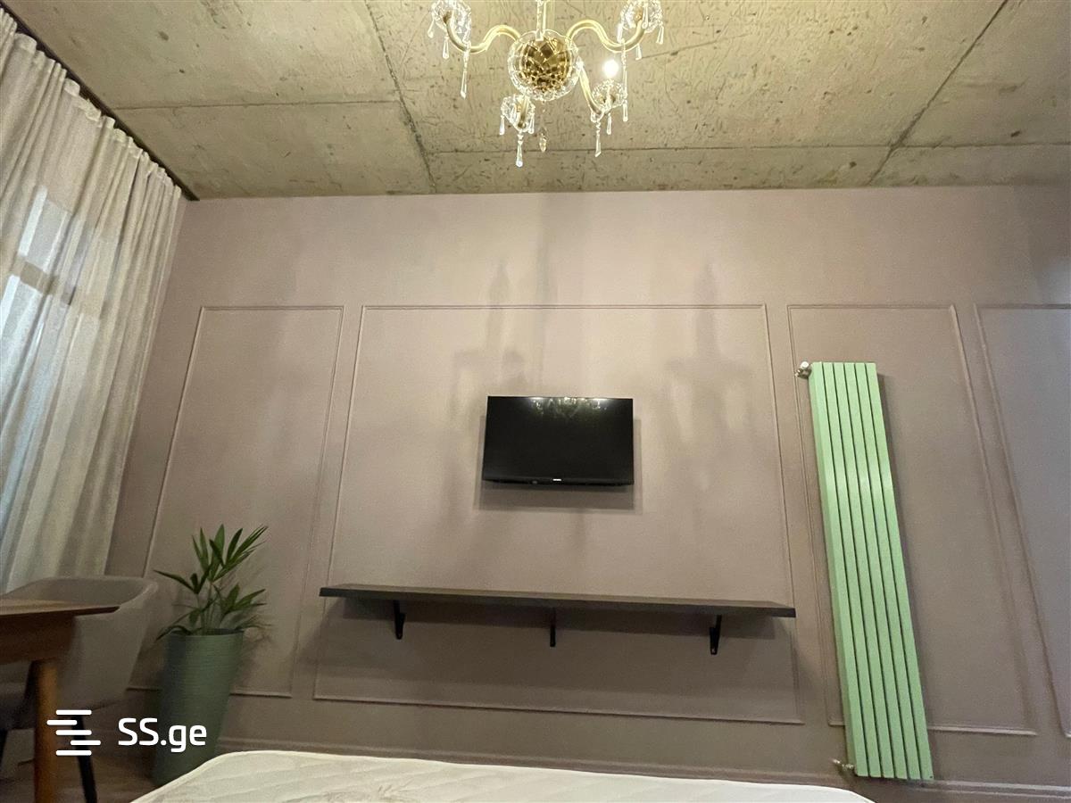 1 Room Flat Daily Rent. Batumi view 7