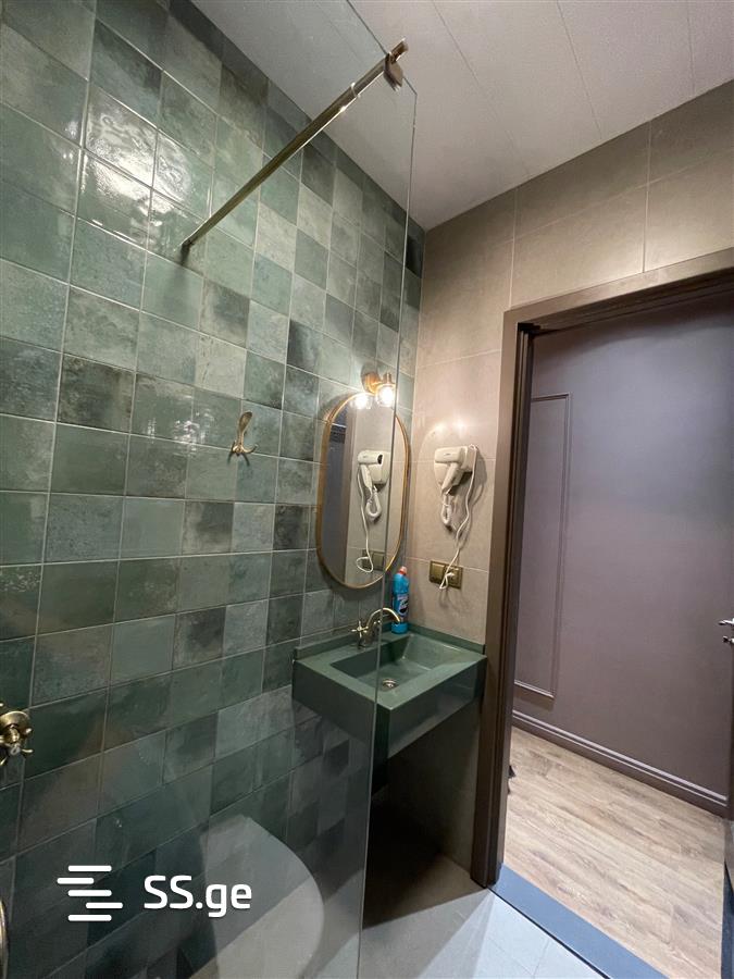 1 Room Flat Daily Rent. Batumi view 8