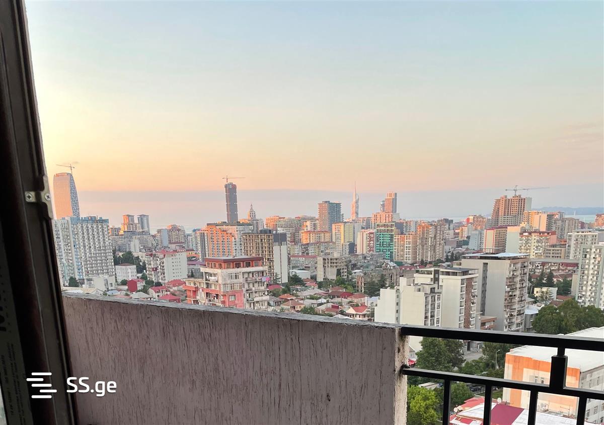 1 Room Flat Daily Rent. Batumi view 11