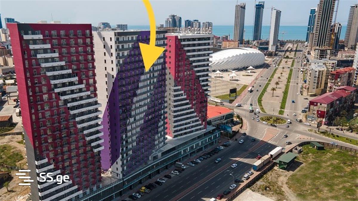 1 Room Flat Daily Rent. Batumi view 6