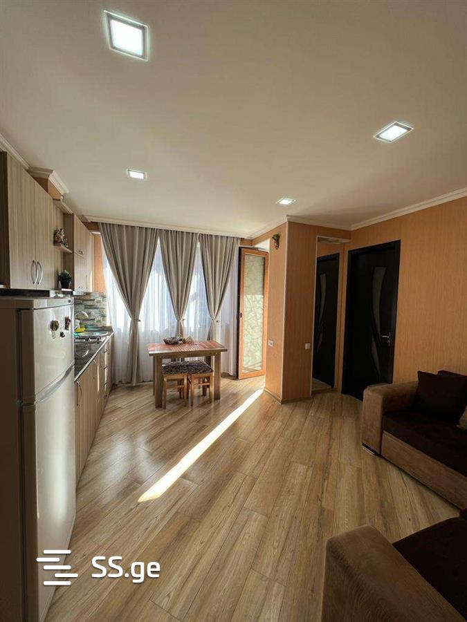 2 Room Flat Daily Rent. Bakuriani view 10