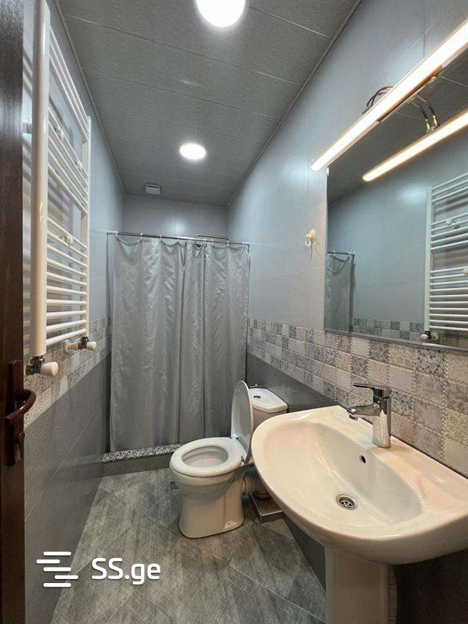 2 Room Flat Daily Rent. Bakuriani view 12