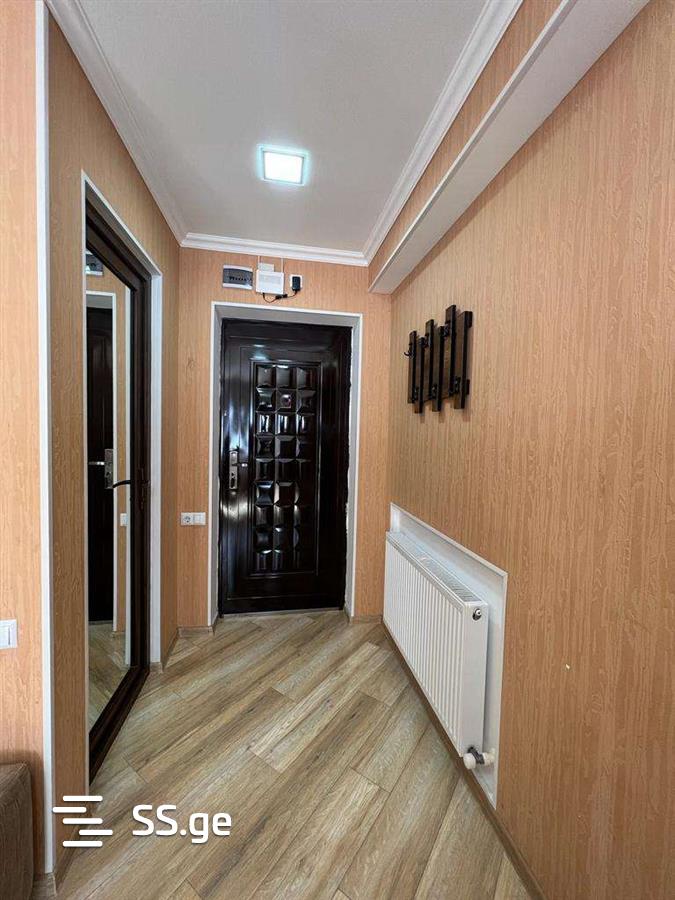 2 Room Flat Daily Rent. Bakuriani view 9