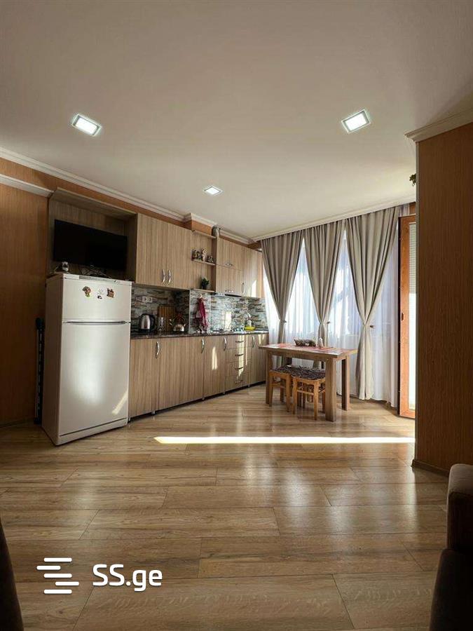 2 Room Flat Daily Rent. Bakuriani view 5