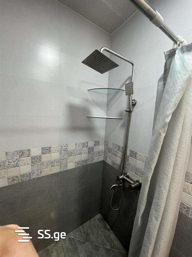 2 Room Flat Daily Rent. Bakuriani view 2