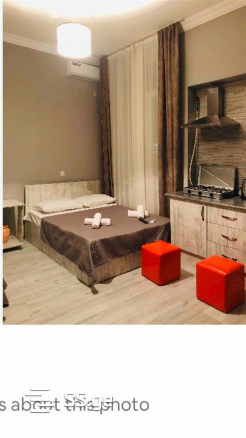 1 Room Flat Daily Rent. Chugureti view 4