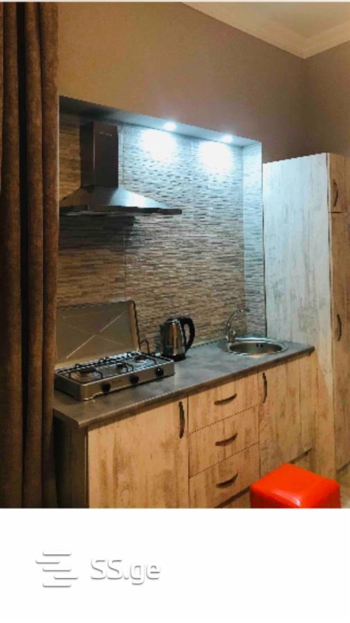 1 Room Flat Daily Rent. Chugureti view 6