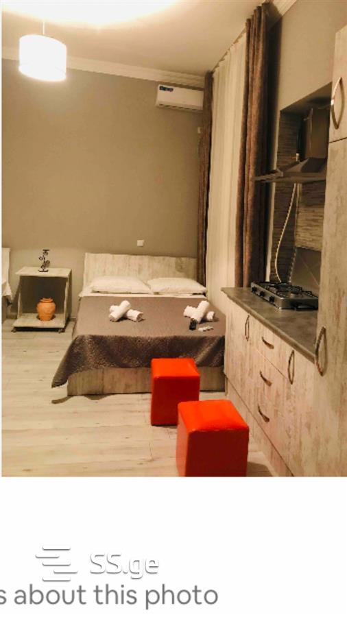 1 Room Flat Daily Rent. Chugureti view 2