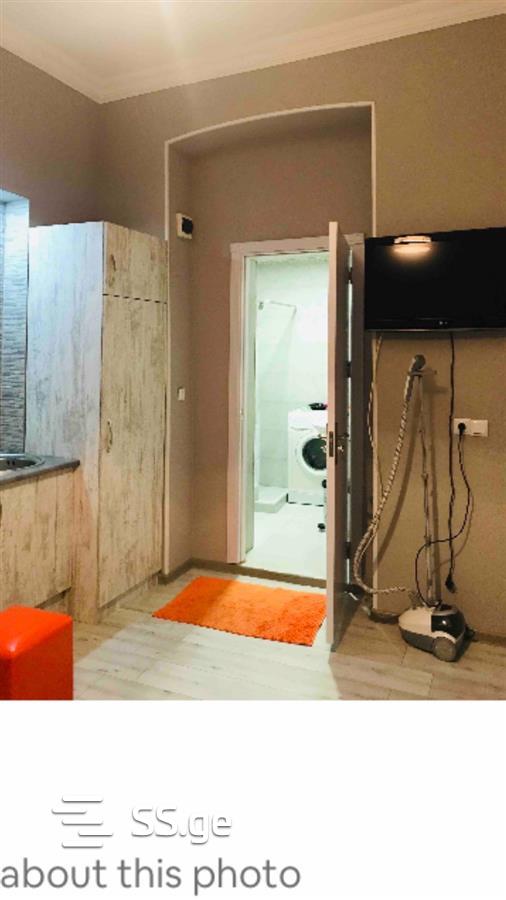 1 Room Flat Daily Rent. Chugureti view 7