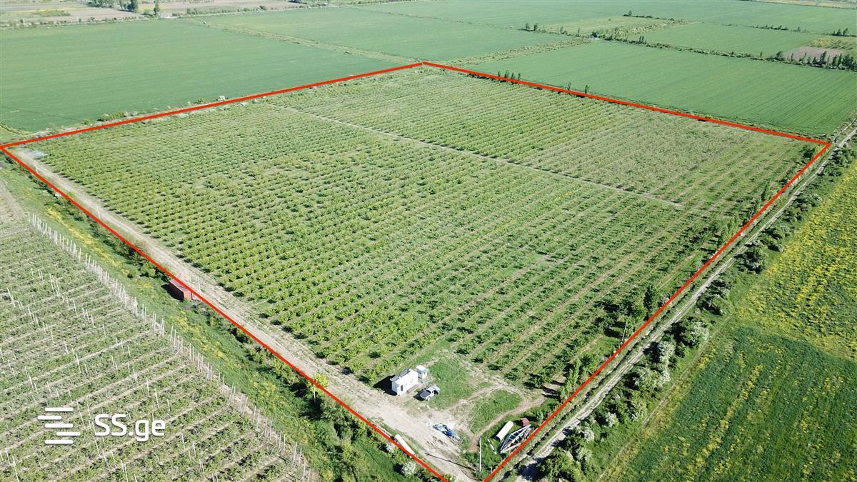 Land For Sale. Gori view 1