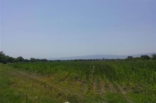 Land For Sale. Akhalsopeli