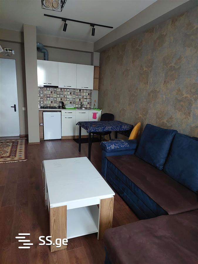 2 Room Flat Daily Rent. Varketili view 7