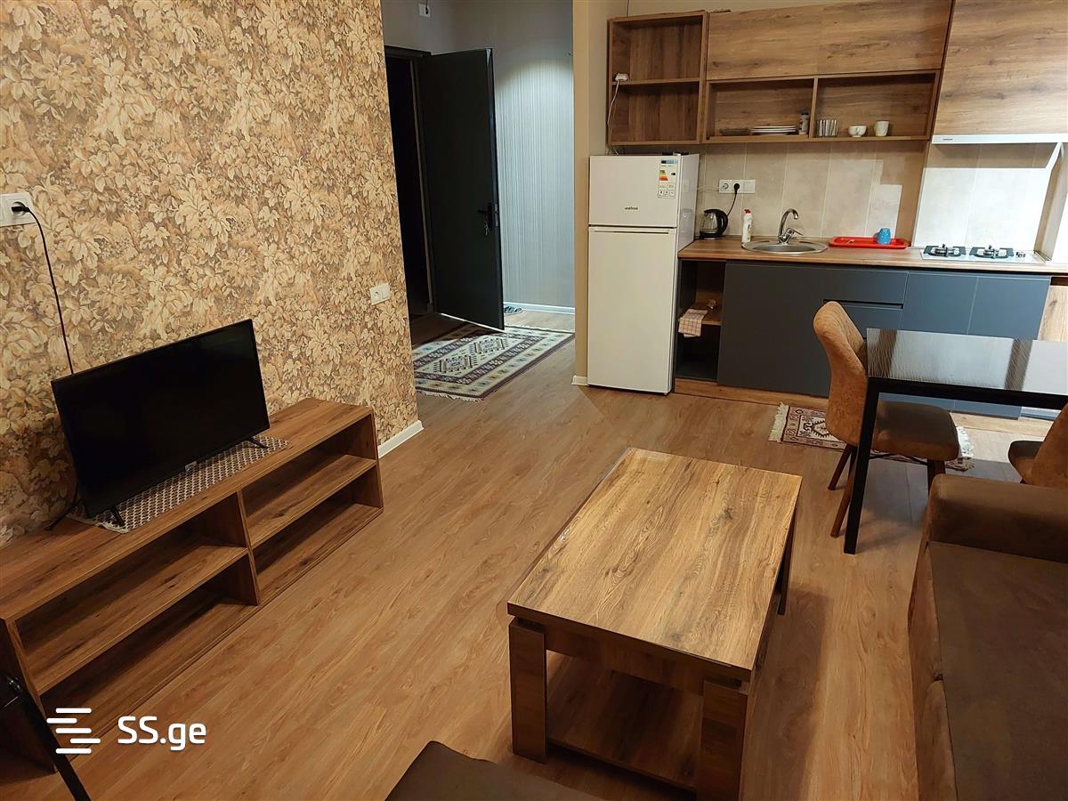 2 Room Flat Daily Rent. Varketili view 6