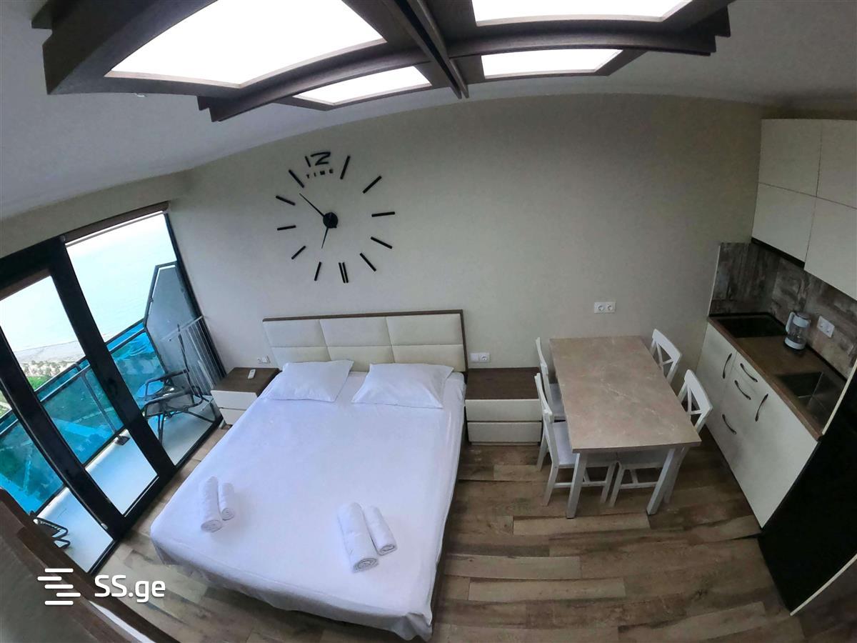 1 Room Flat Daily Rent. Batumi view 3