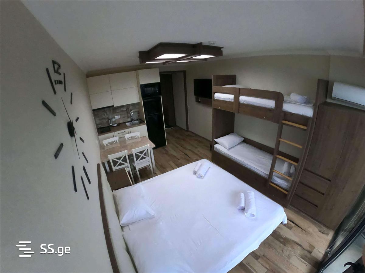 1 Room Flat Daily Rent. Batumi view 5