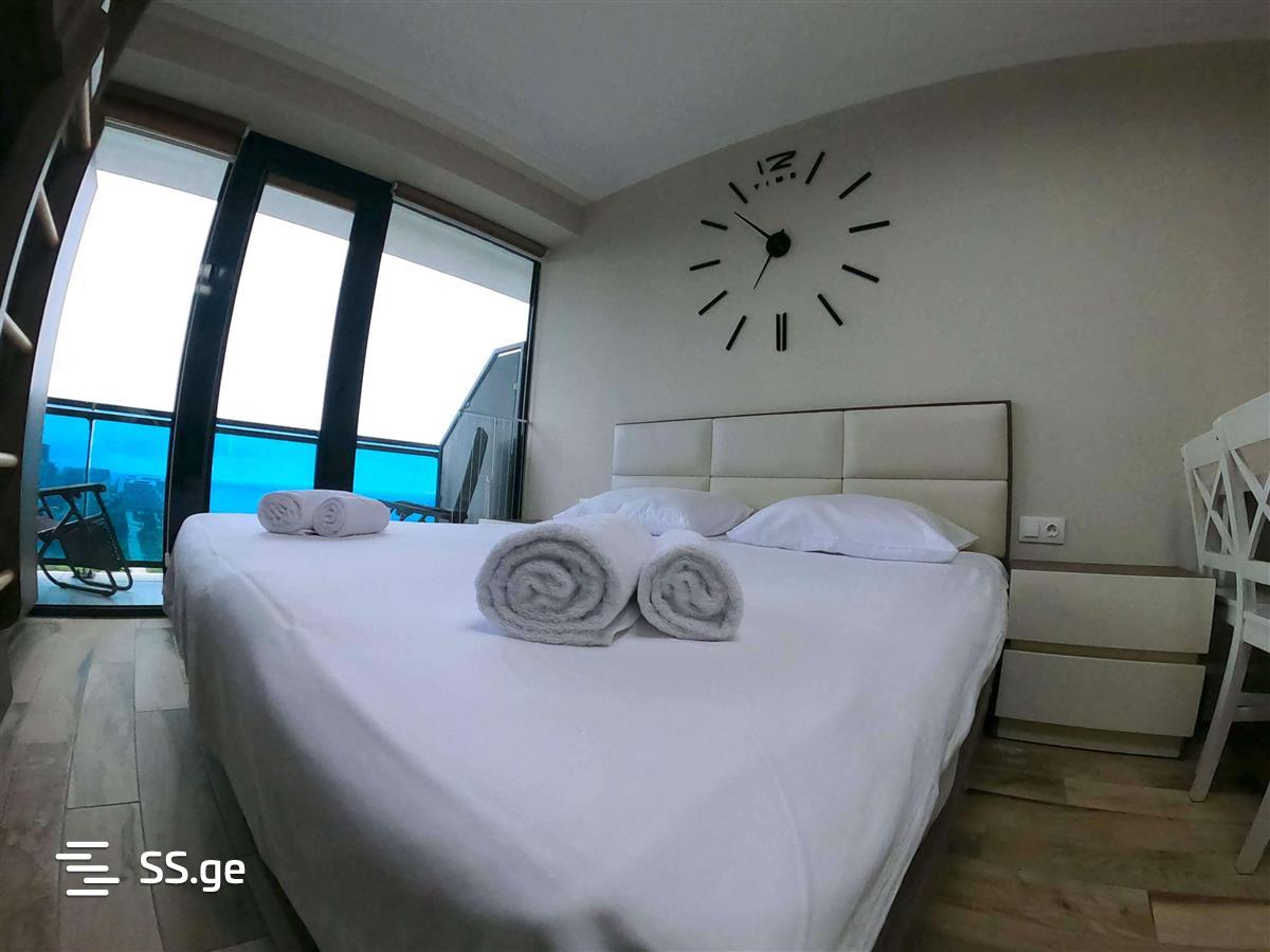 1 Room Flat Daily Rent. Batumi view 4