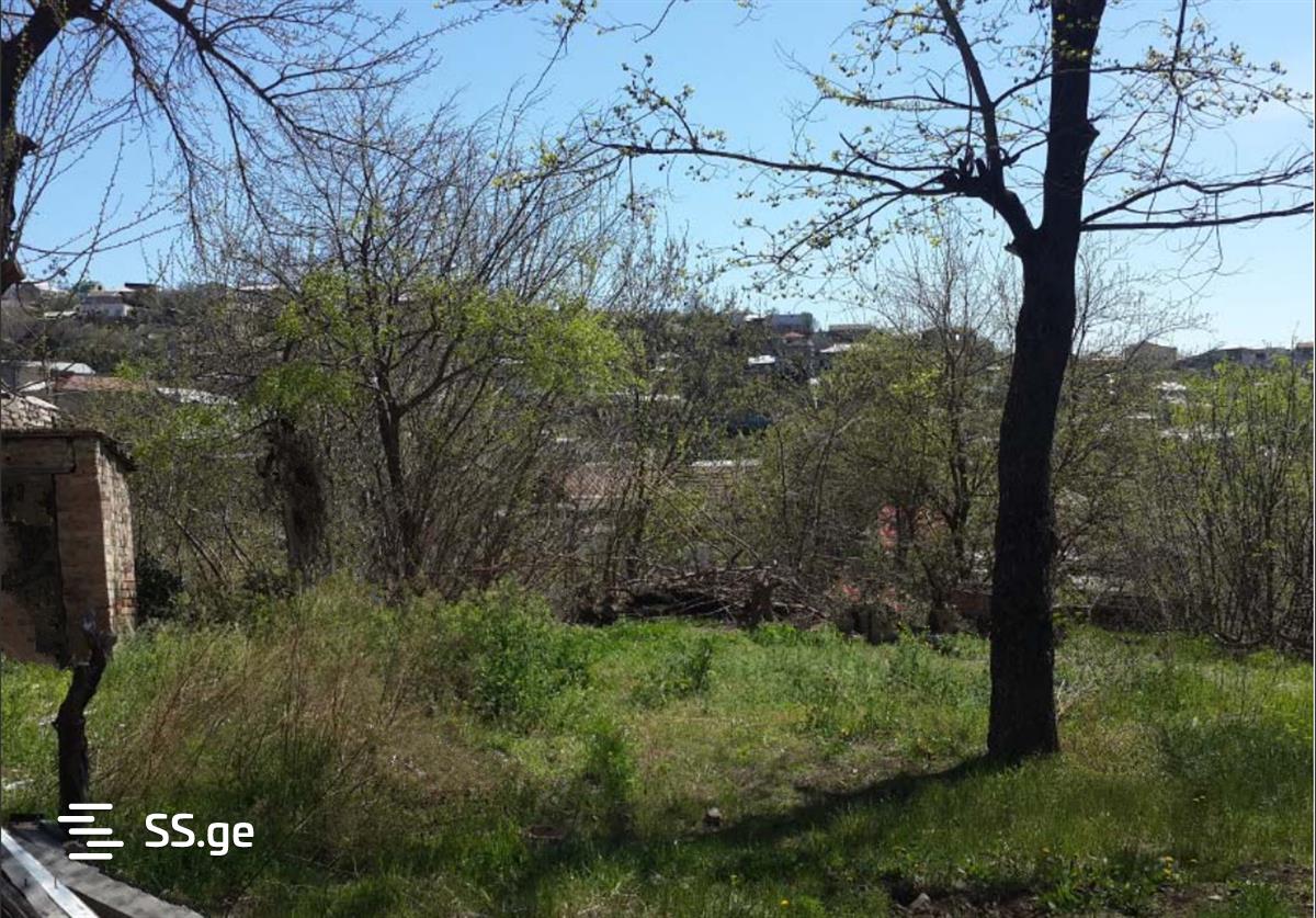 Land For Sale. Nadzaladevi, 2 of 2