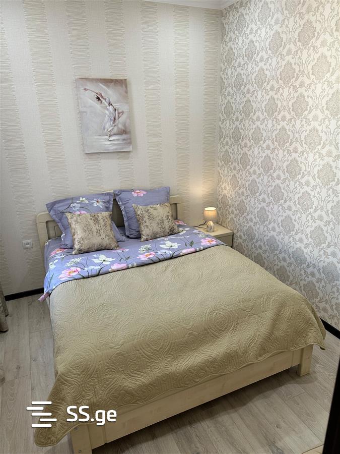 3 room Flat Daily rent. Didi digomi - Widok 6
