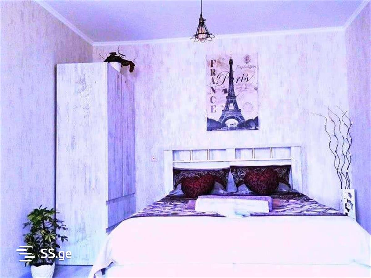 1 room Flat Daily rent. Saburtalo - Ansicht 3