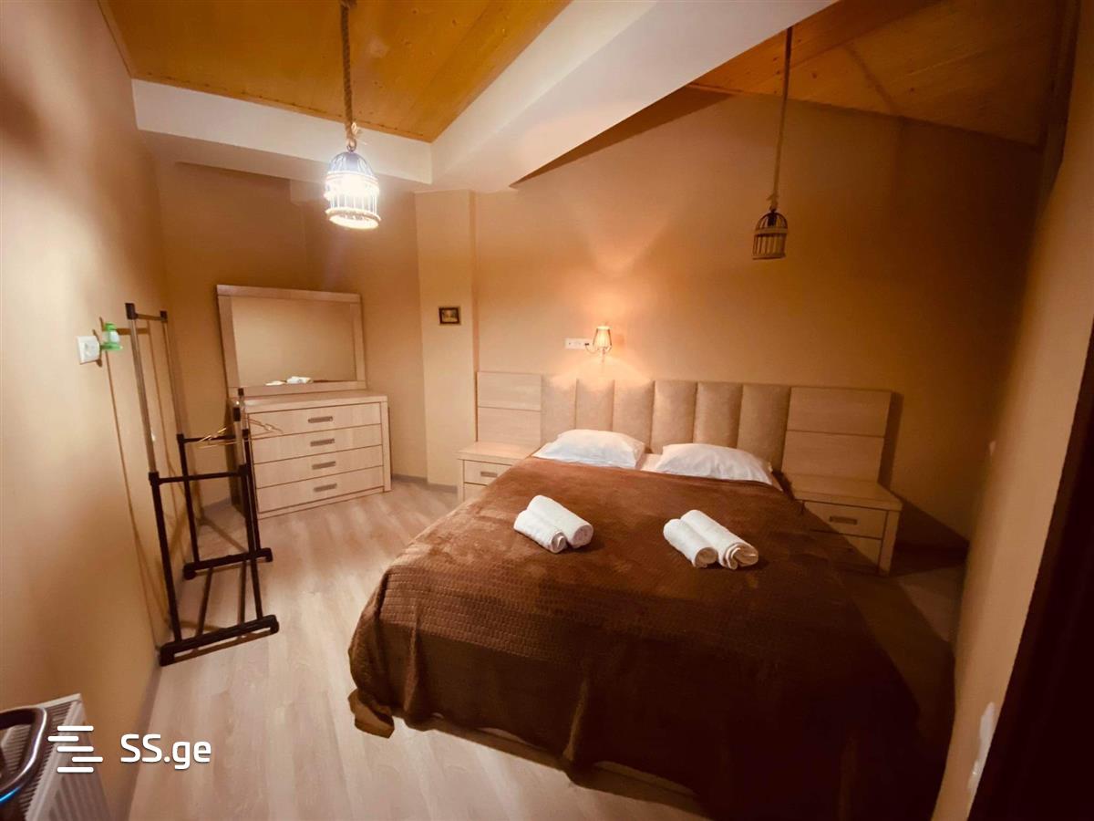 2 Room Flat Daily Rent. Bakuriani, 3 of 8