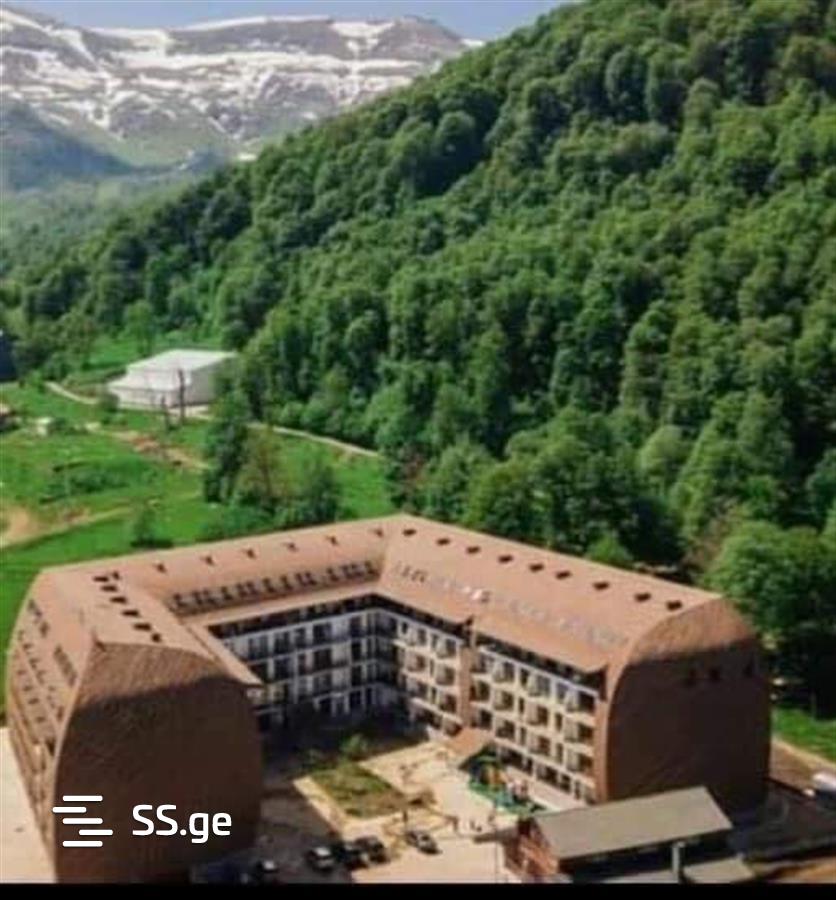 2 Room Flat Daily Rent. Bakuriani, 1 of 8