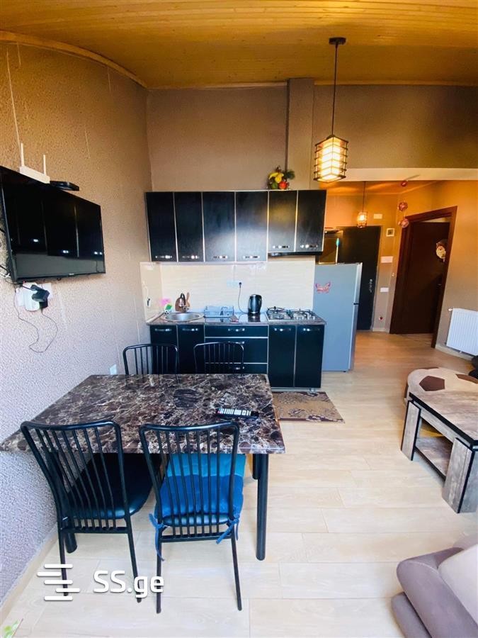 2 Room Flat Daily Rent. Bakuriani, 4 of 8