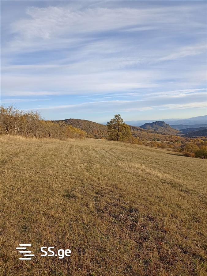 Land For Sale. Orbeti view 4