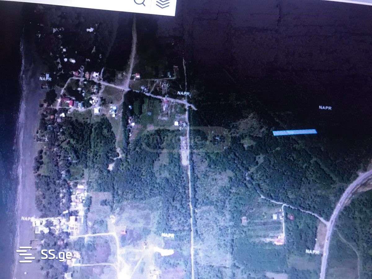 For Sale Sasoplo-Sameurneo Land Plot Ozurgetis Munitsipalitetshi view 2