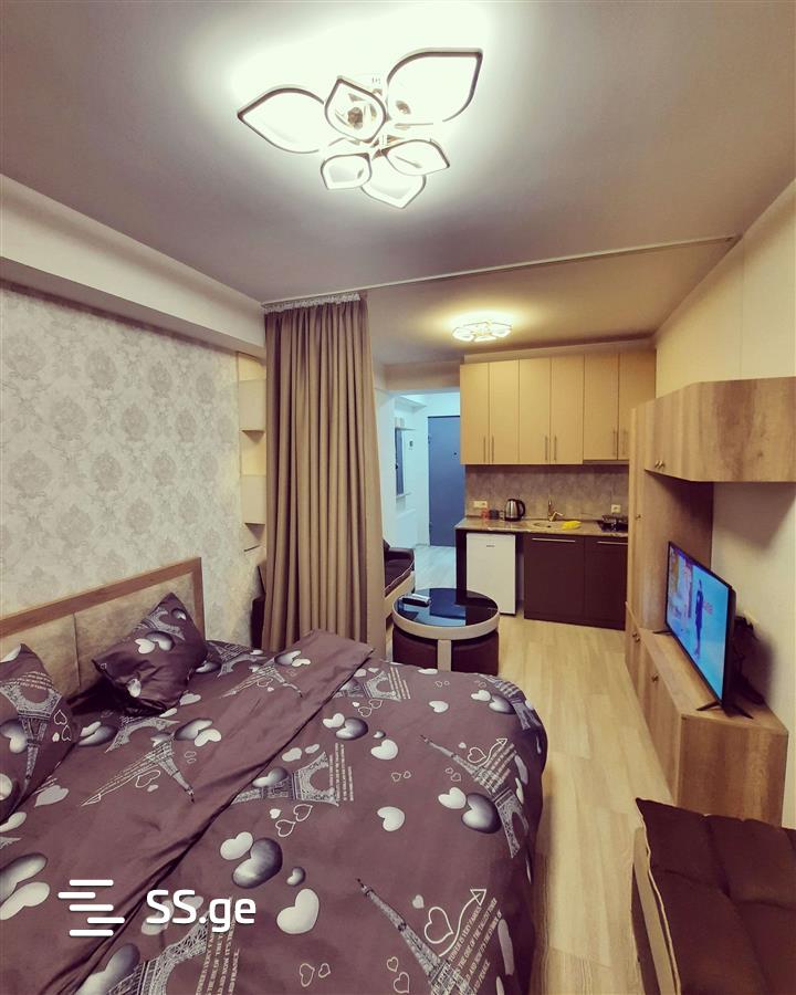 1 Room Flat Daily Rent. Gldani view 8