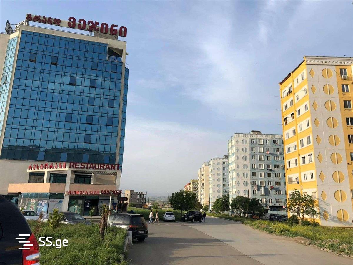 4 Room Flat Daily Rent. Rustavi view 9