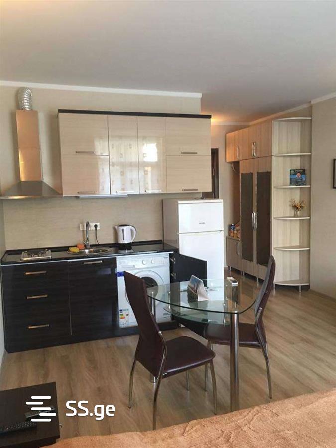 1 Room Flat Daily Rent. Batumi view 6